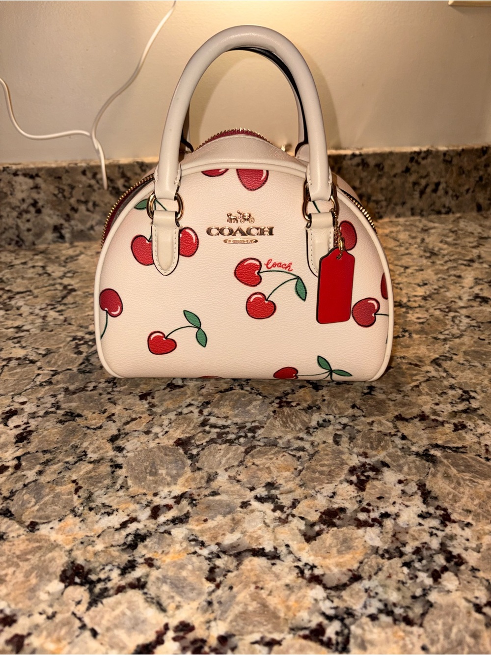 COACH Cherry Print Dome Bag